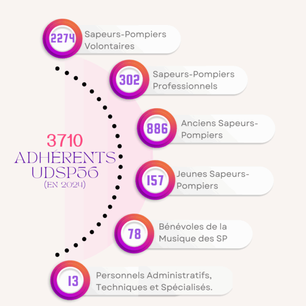 Chiffres 2024 UDSP 56